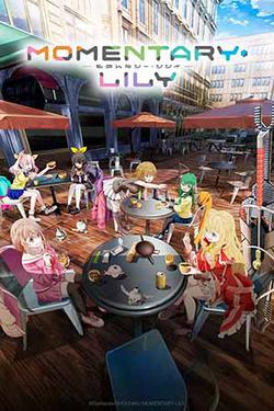 Momentary Lily Special