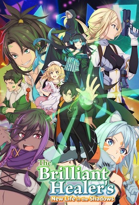 The Brilliant Healers New Life in the Shadows