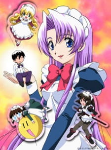 Hanaukyo Maid Team